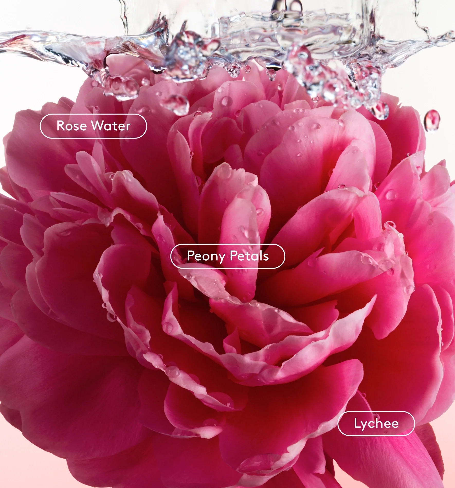 All Over Deo - Image 4