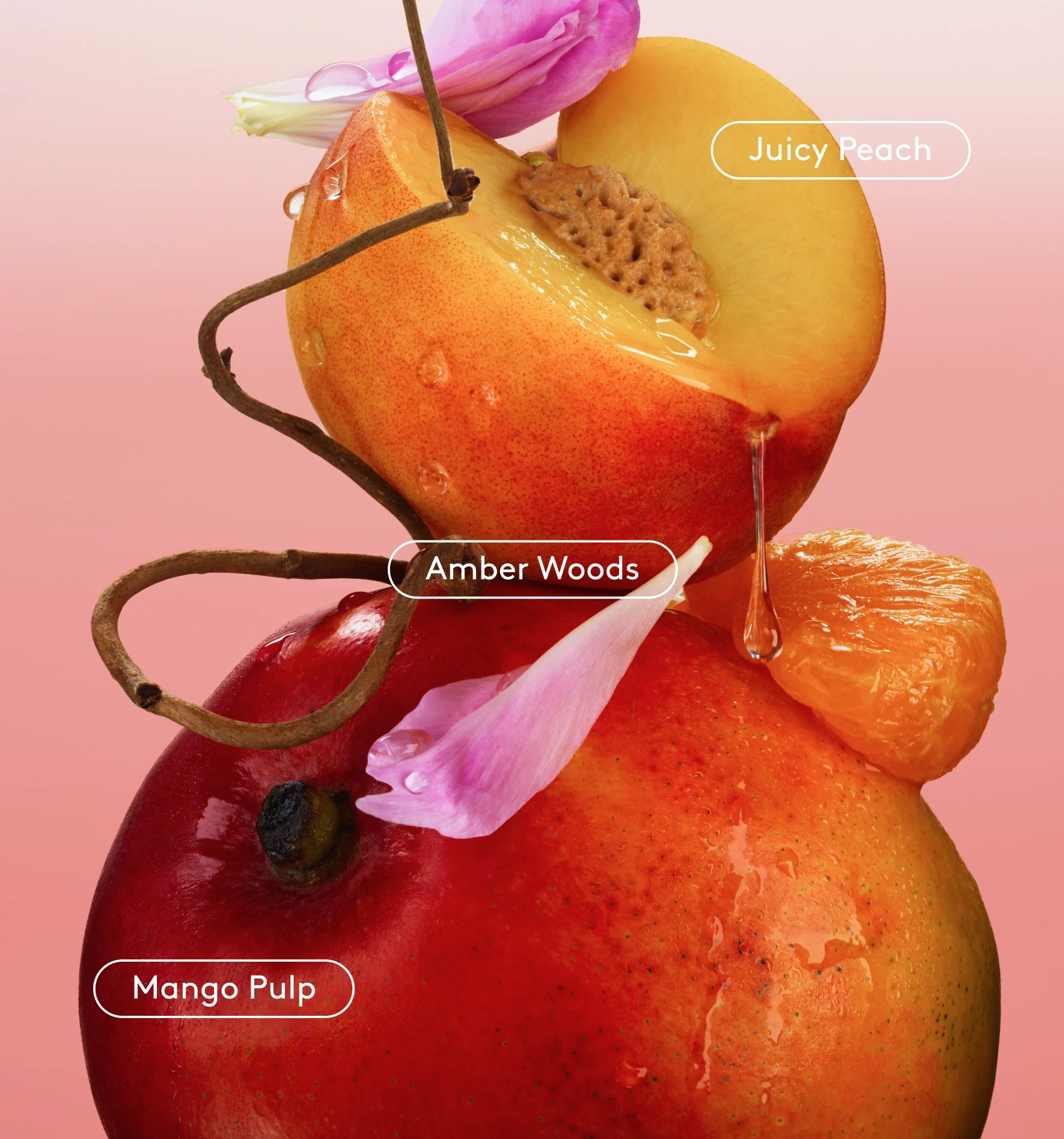 Full Body Deo Dry-Spray - Image 4