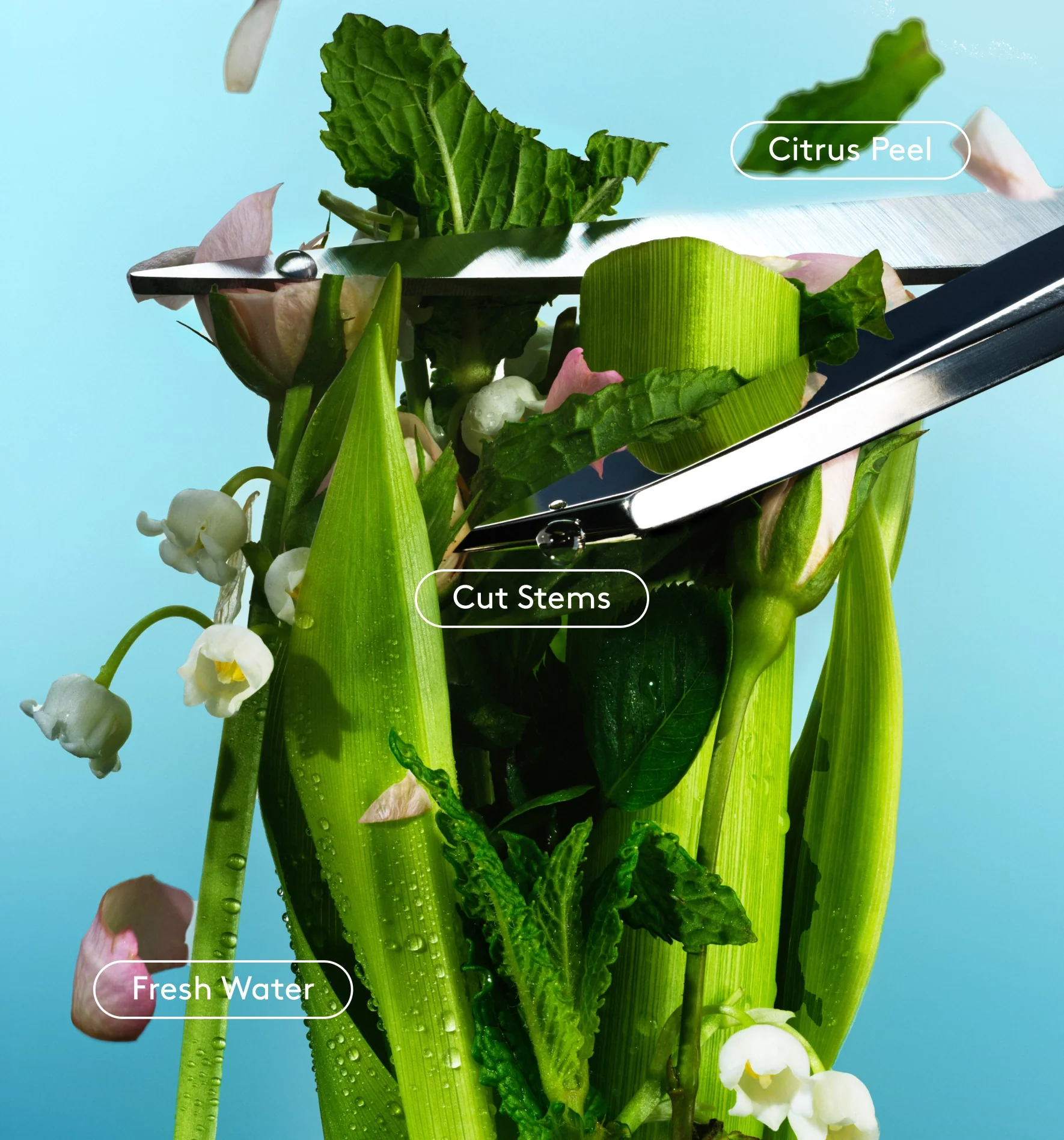 Full Body Deo Dry-Spray - Image 4