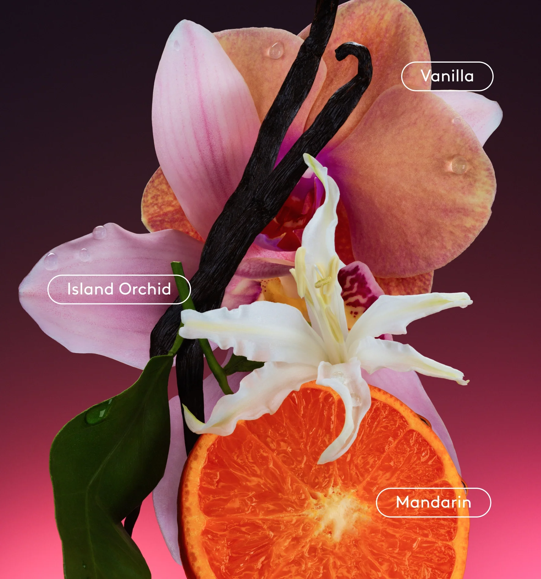 Full Body Deo Dry-Spray - Image 4