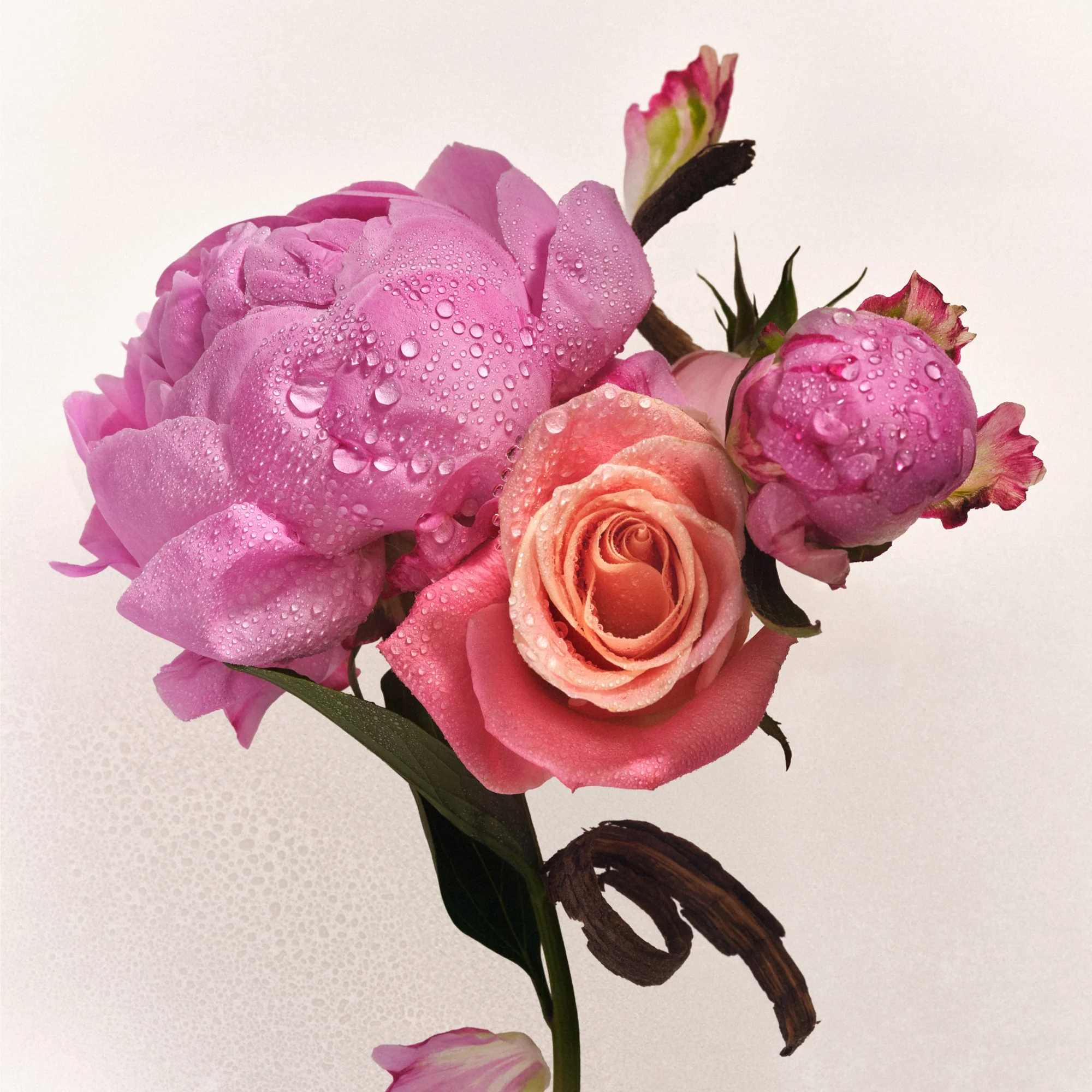 Full Body Fragrance Routine - Image 3