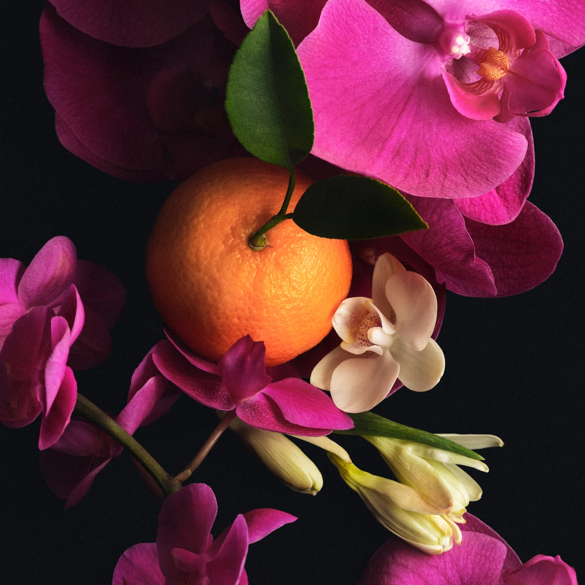 Full Body Fragrance Routine - Image 3