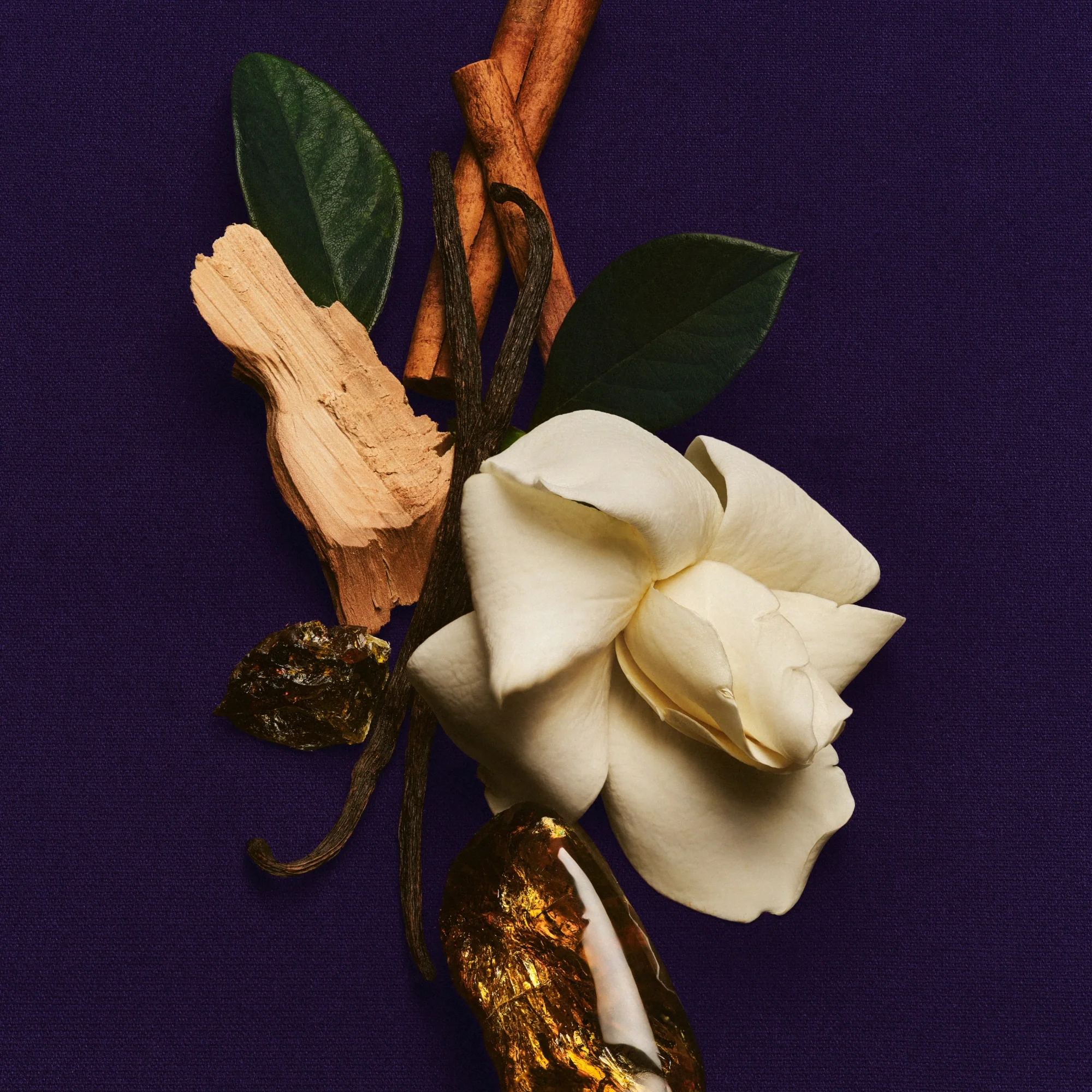 Skin Perfecting Body Lotion - Image 3